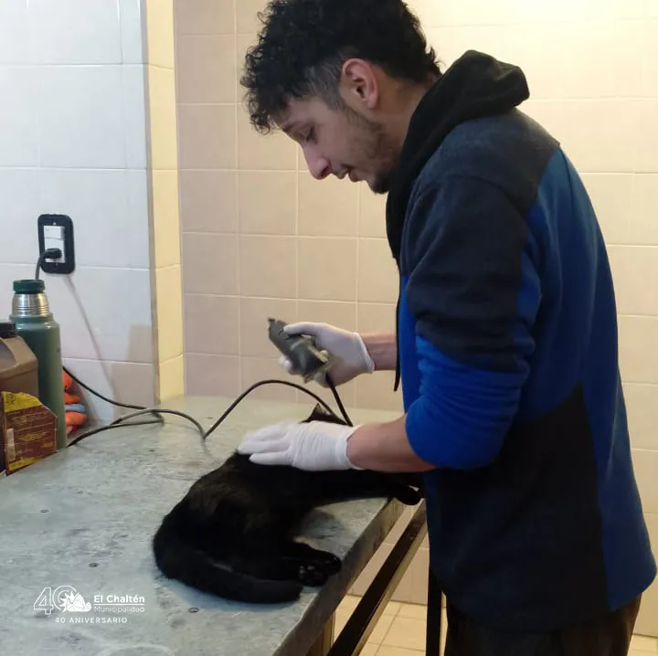 519948829_122128998224855895_9113223086840040676_n