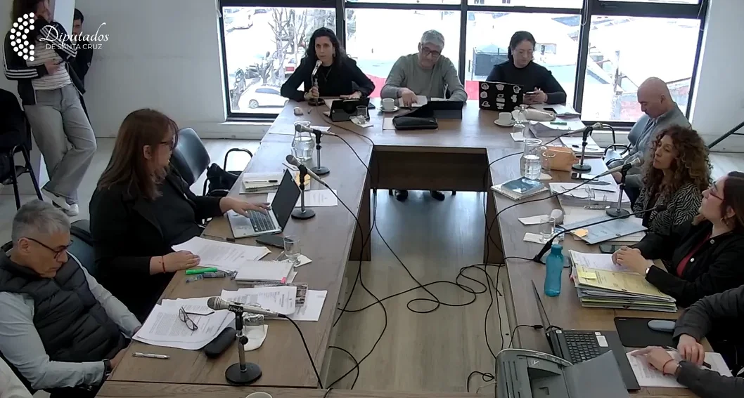 Comision Asuntos constitucionales