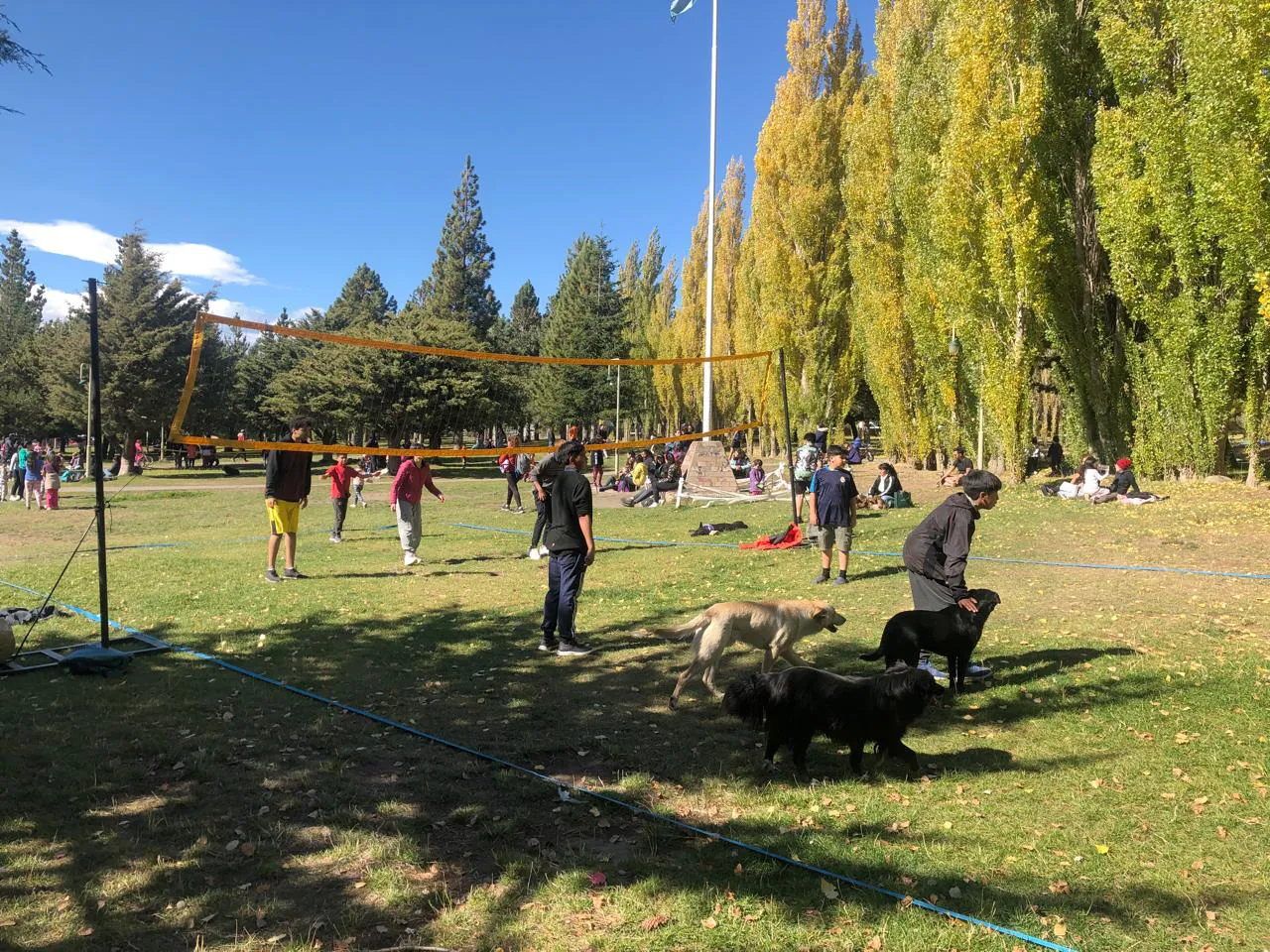 WhatsApp Image 2025-03-03 at 17.46.39