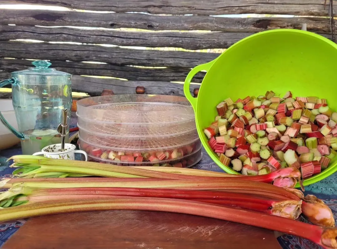 77AD1F69-C597-423C-99F3-9E0D3C9B7877