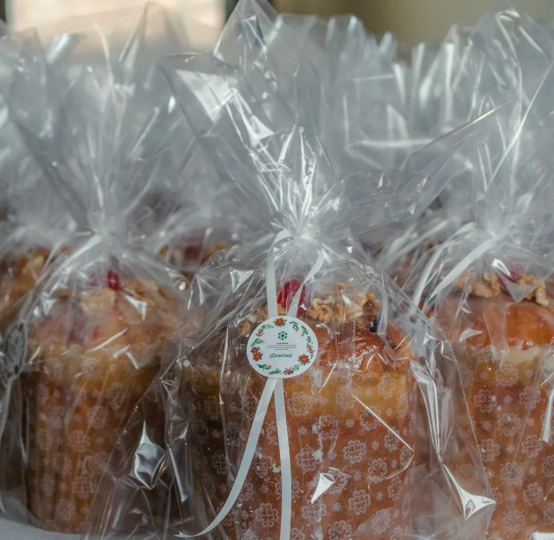 598117427_1325093576319208_6940812218184485188_n