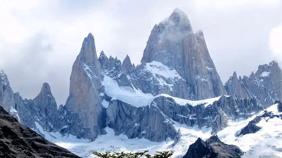 fitz-roy