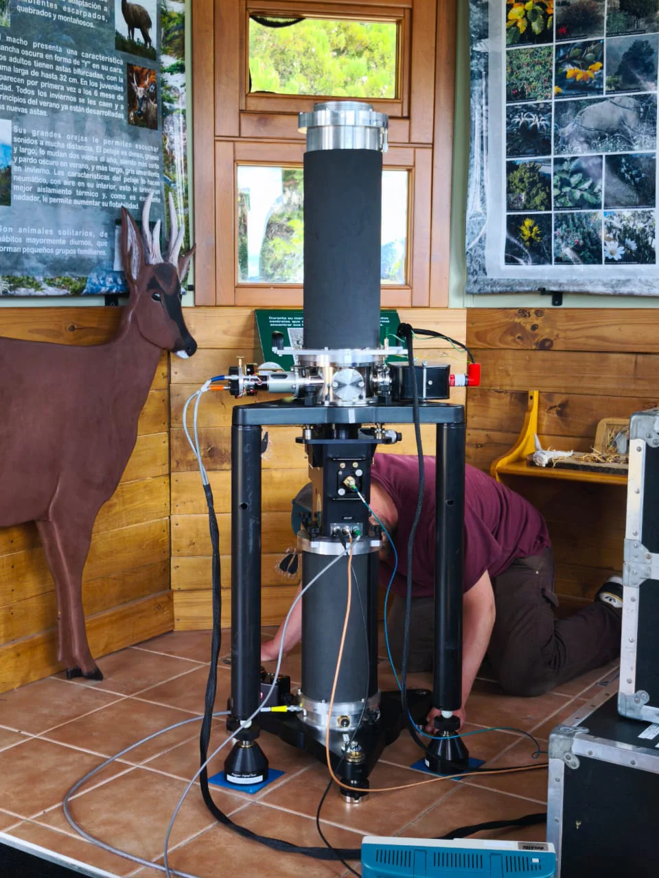 WhatsApp Image 2026-03-18 at 12.07.30