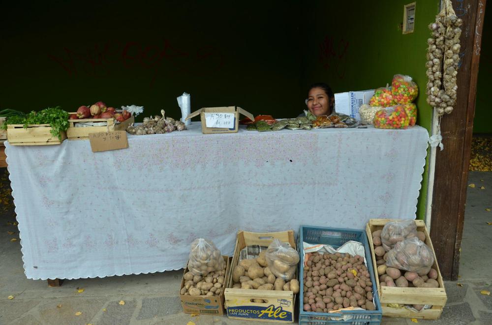 fa58c117-515f-48e8-b42f-7b9befac8c9a