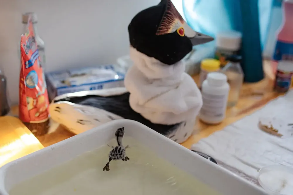 494927183_18065800457505372_3139571861233686180_n