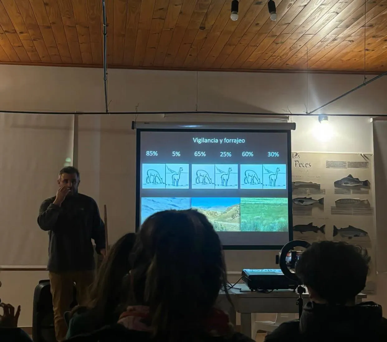 WhatsApp Image 2024-08-27 at 08.39.55