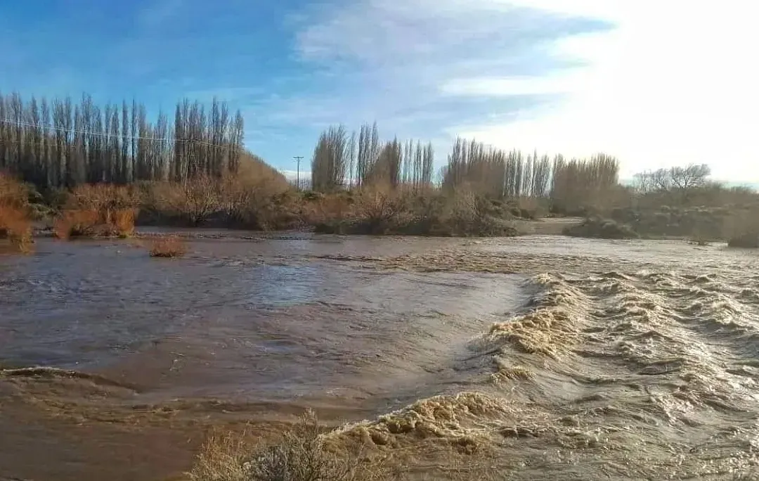 1793169b6f10ea5b2d3d5f5dbd02f9d3_XL