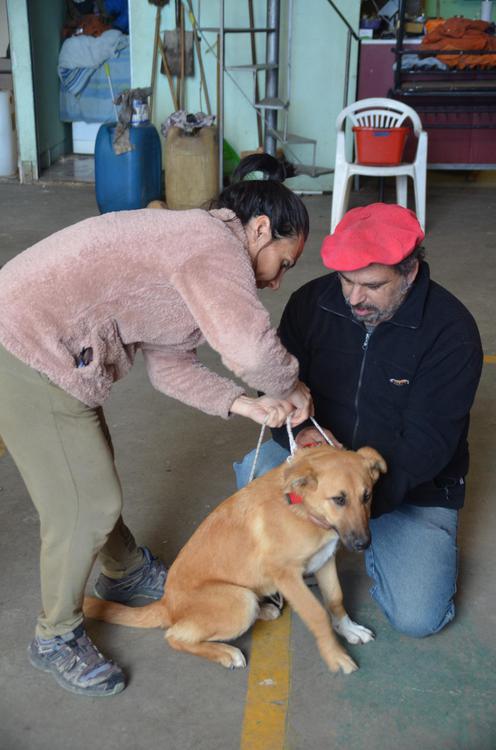 2ea33adf-7658-4948-aa39-9161a771989d