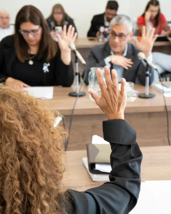 Asuntos constitucionales