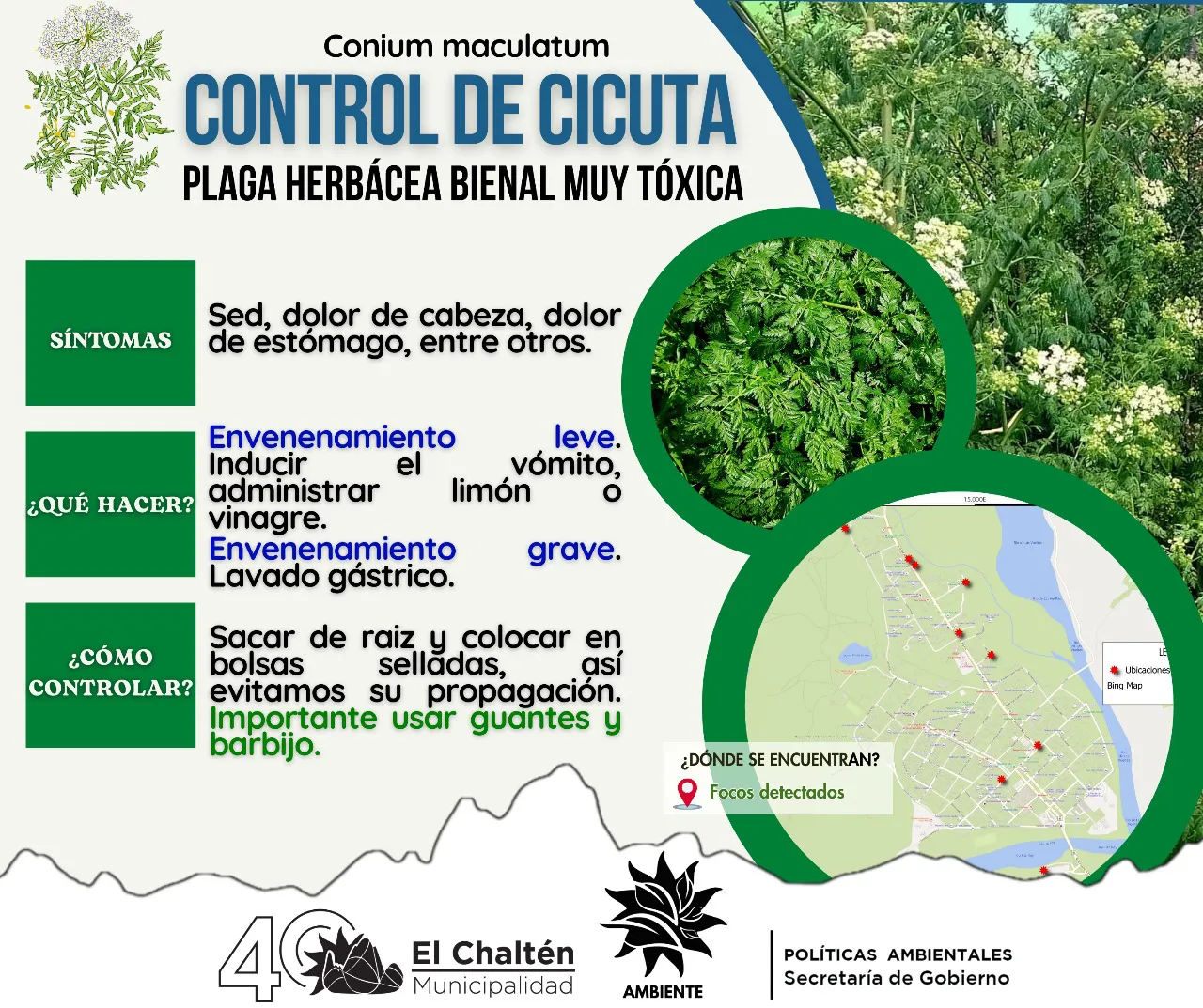 599941423_122155313342855895_8490857791525439169_n