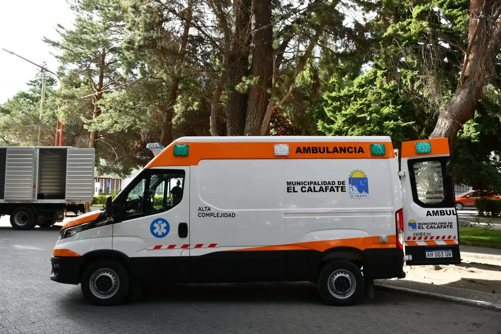 WhatsApp Image 2026-02-15 at 20.29.53