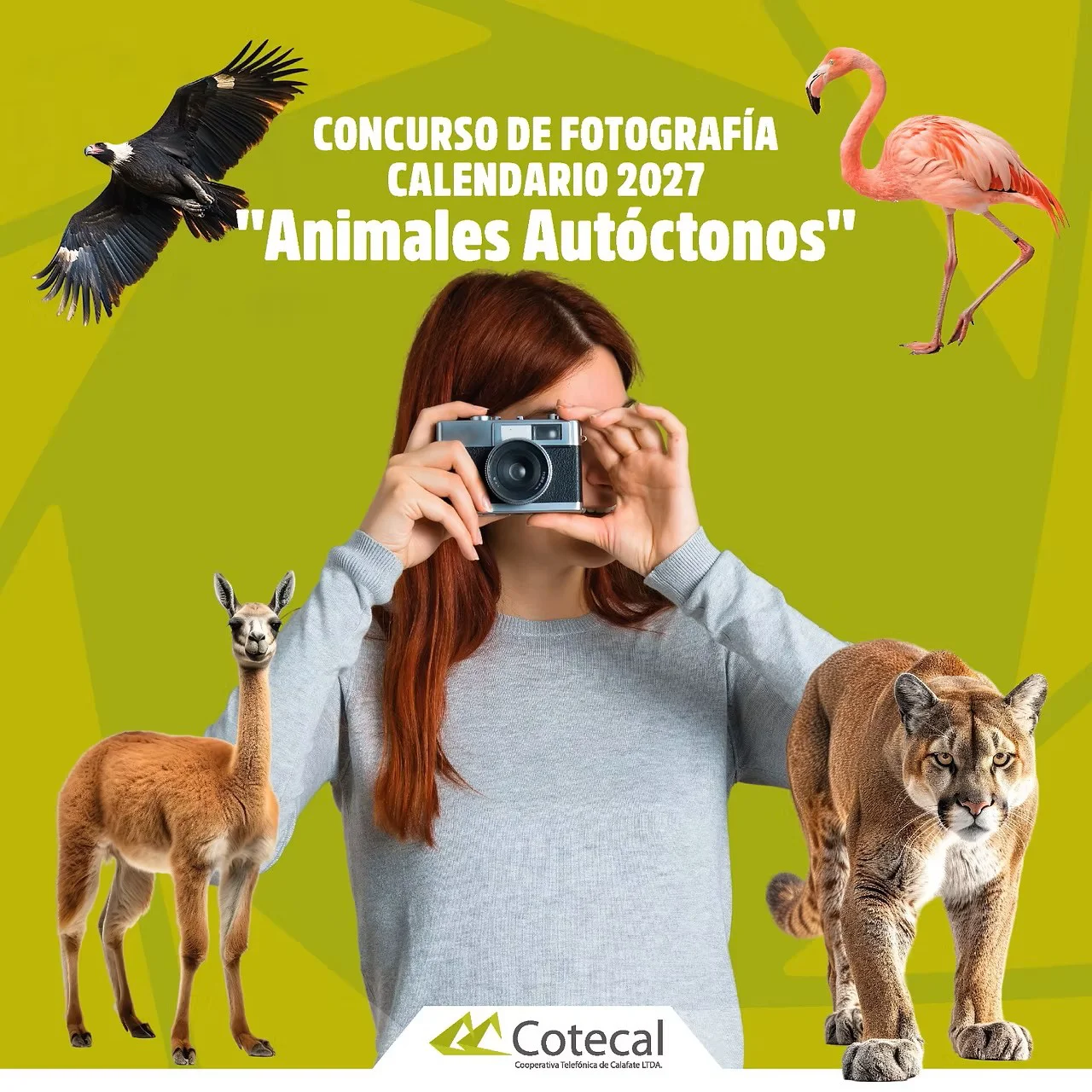 concurso cotecal