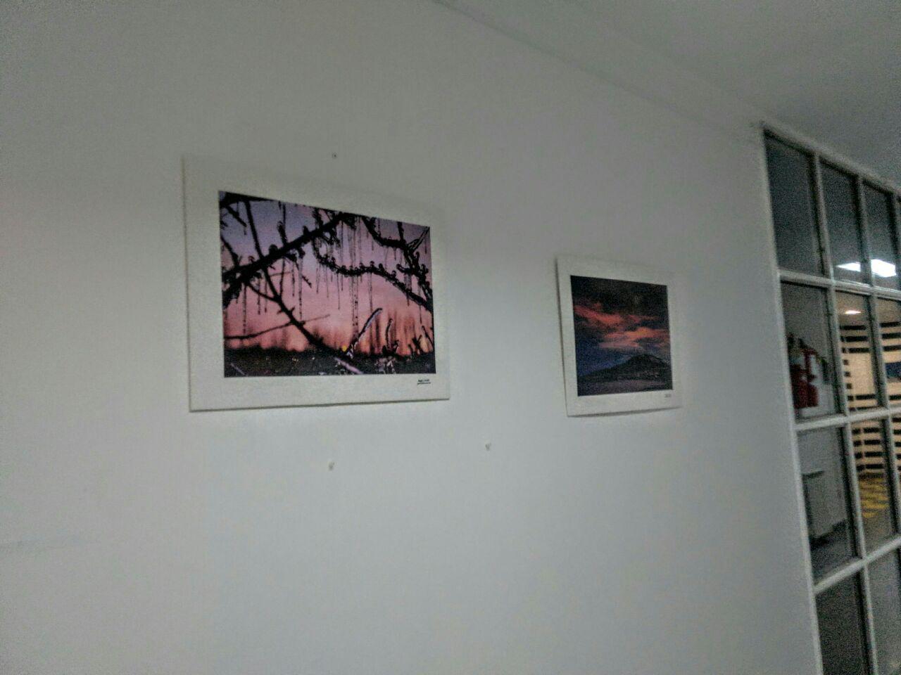 00c4ab8f-2e38-4a1c-a959-2cbc4f14a48a