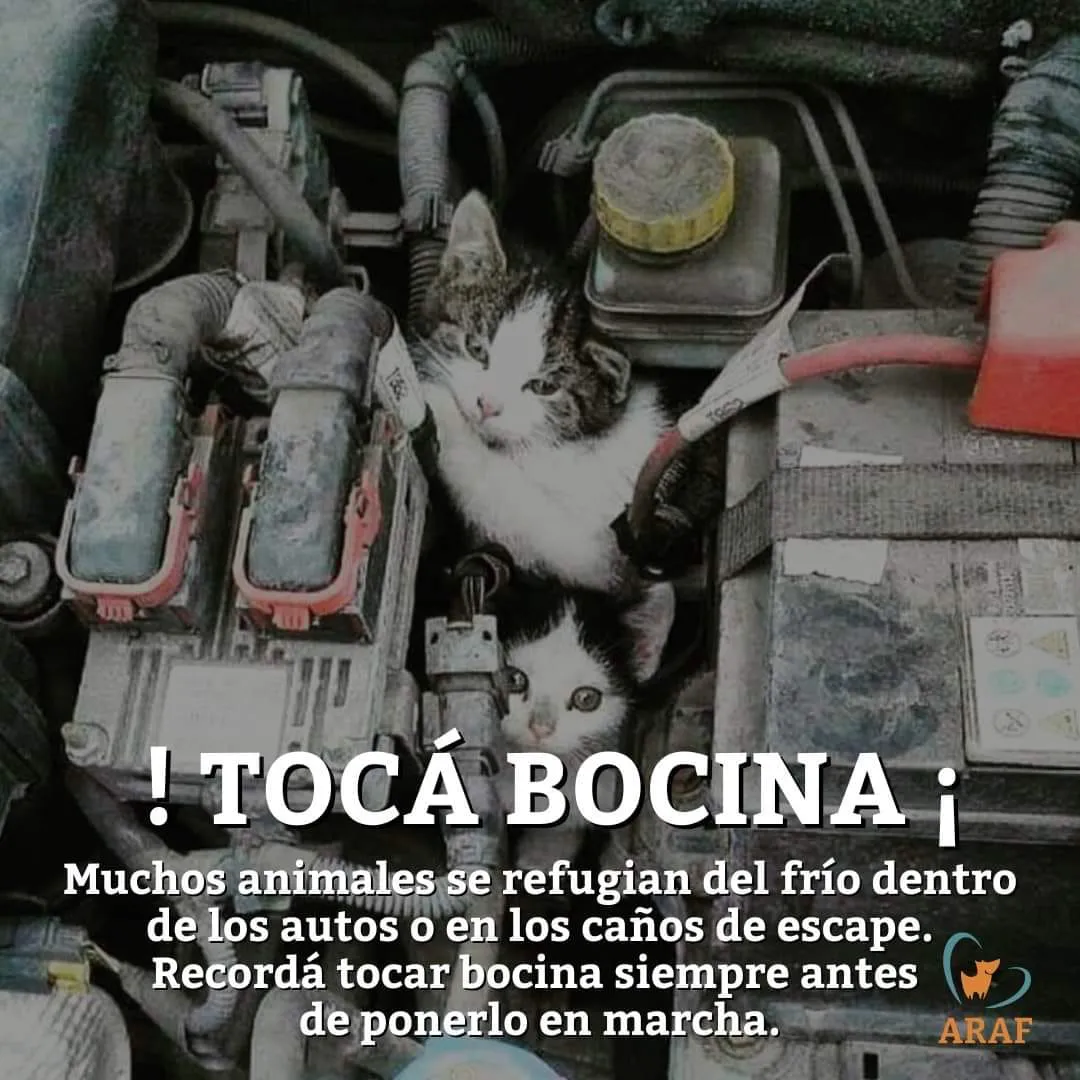 417492968_805203165045106_7548787110540502350_n