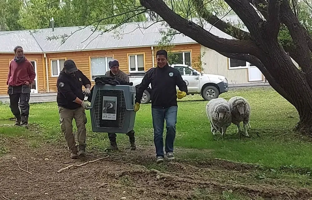 581958002_1269230538567908_7150261086419413975_n