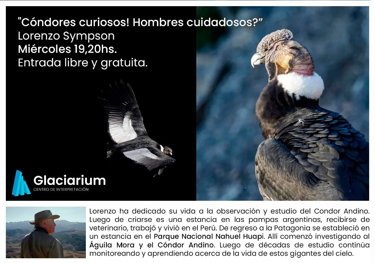 WhatsApp Image 2025-03-17 at 10.11.44