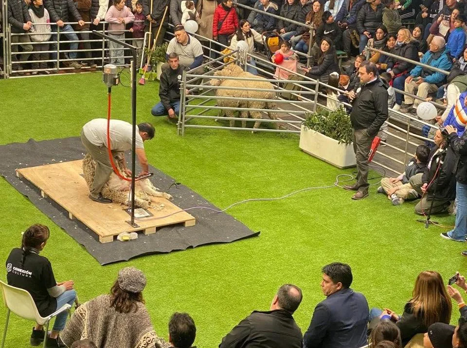 520912958_1155673793259442_8933374519953453859_n