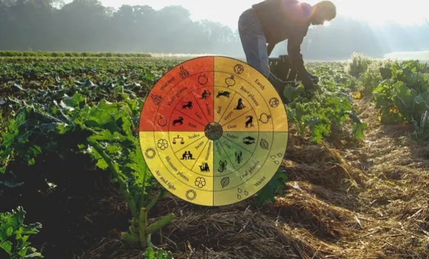 agriultura_biodinamica_agrofy_news_0