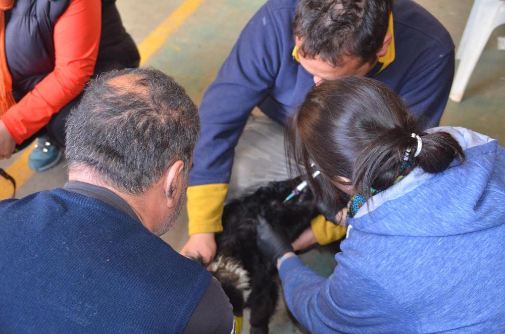 be0aecb7-5b77-4b42-9fee-db5fa7a8543f