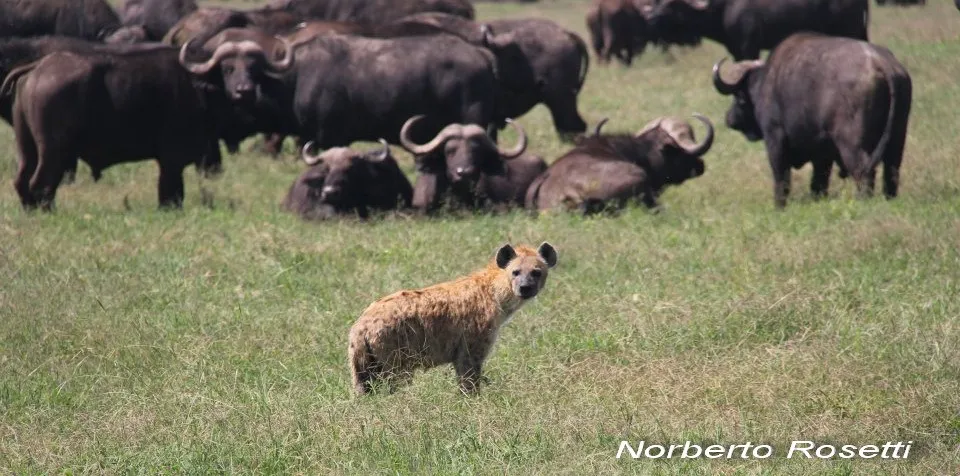 WhatsApp Image 2023-06-12 at 15.06.14