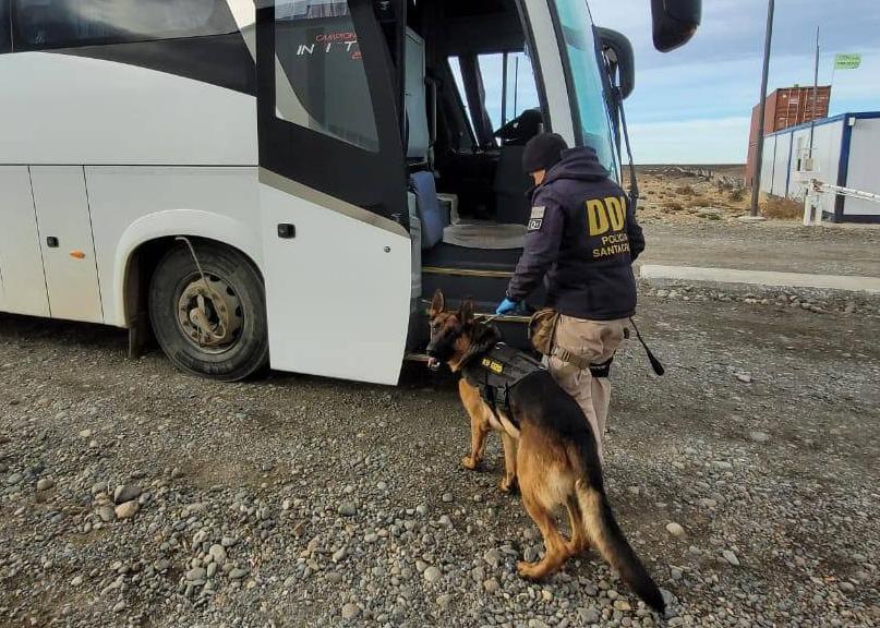 WhatsApp Image 2023-05-11 at 23.01.49