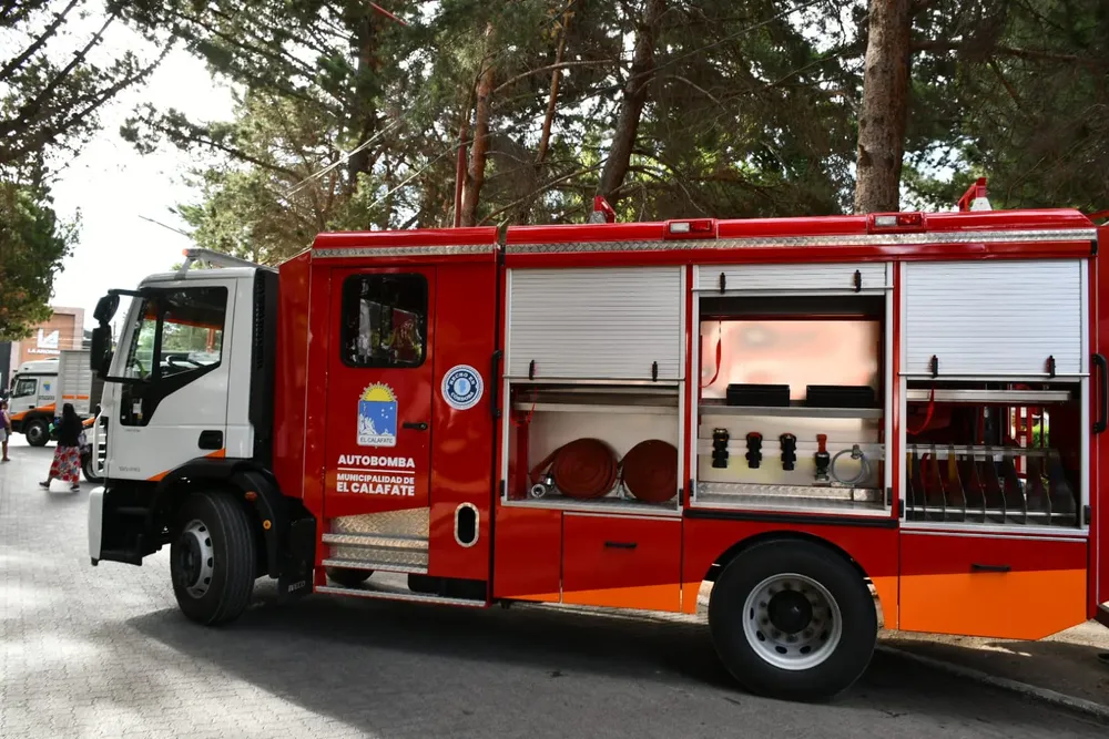 WhatsApp Image 2026-02-15 at 20.29.50