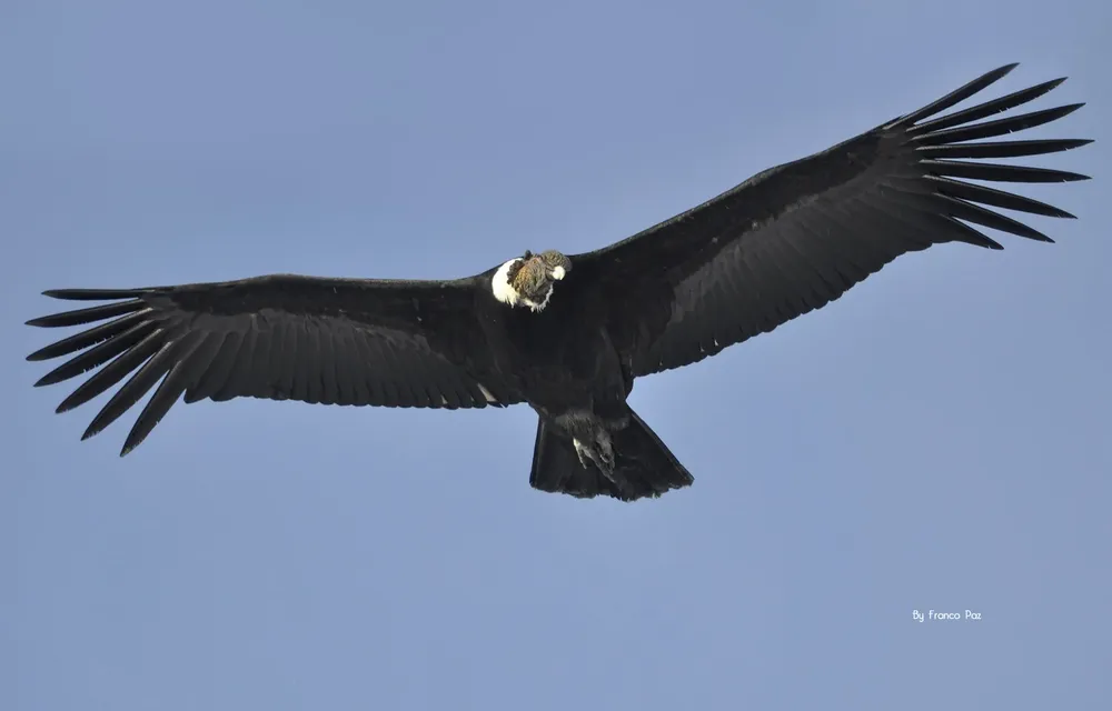 476312973_1498026224903245_8892882608929589653_n