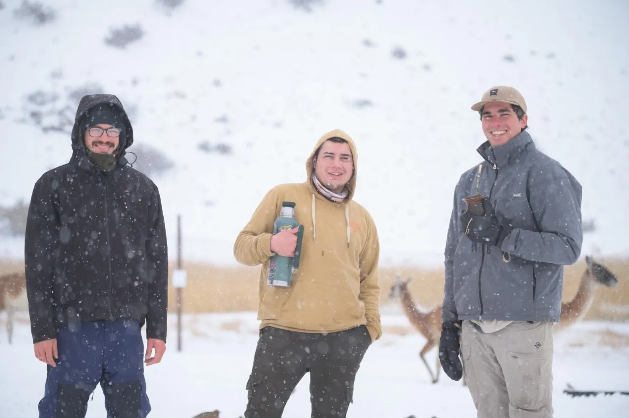 Imagen de WhatsApp 2024-11-22 a las 09.08.49_3171bc27