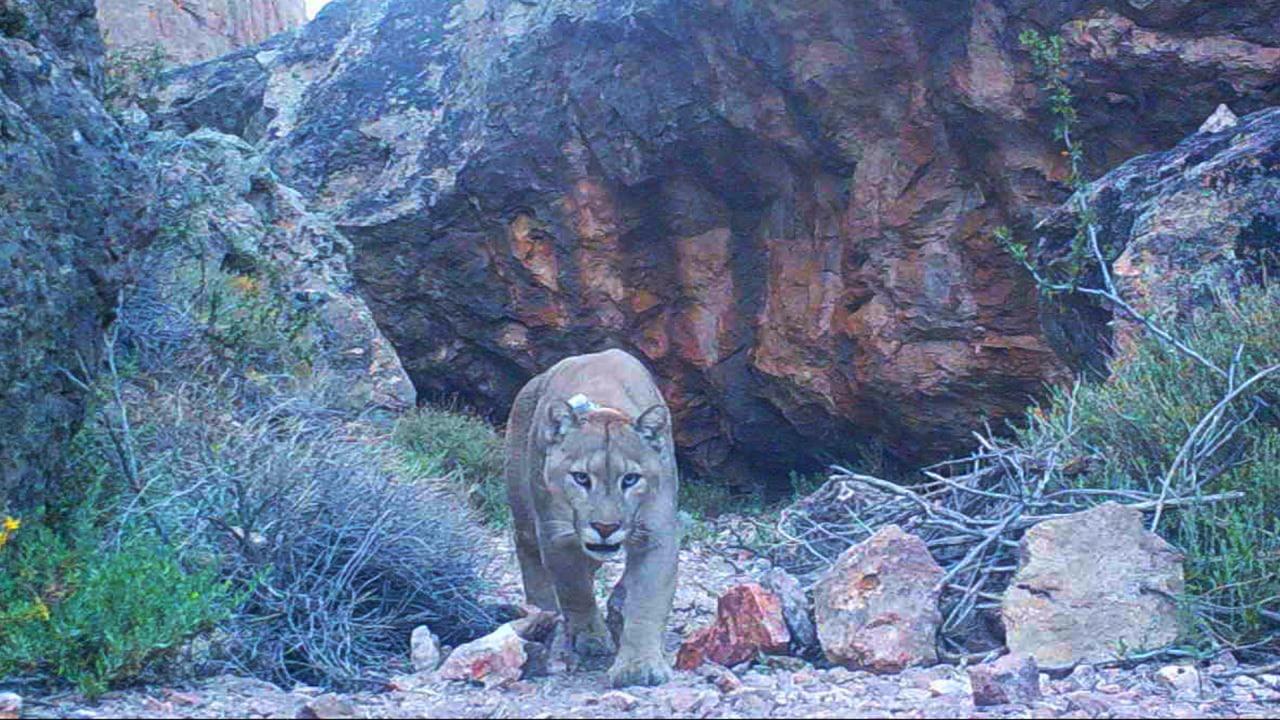 WhatsApp Image 2023-04-08 at 12.38.47 (1)