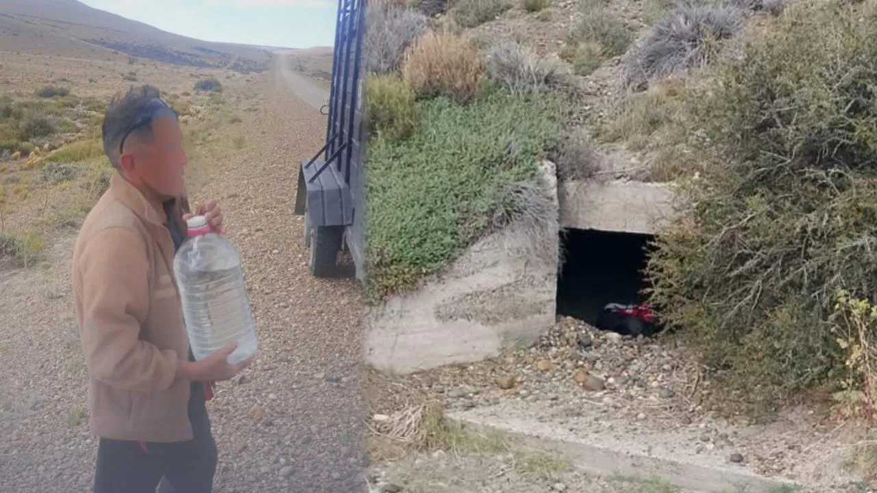 WhatsApp Image 2026-01-30 at 12.53.09