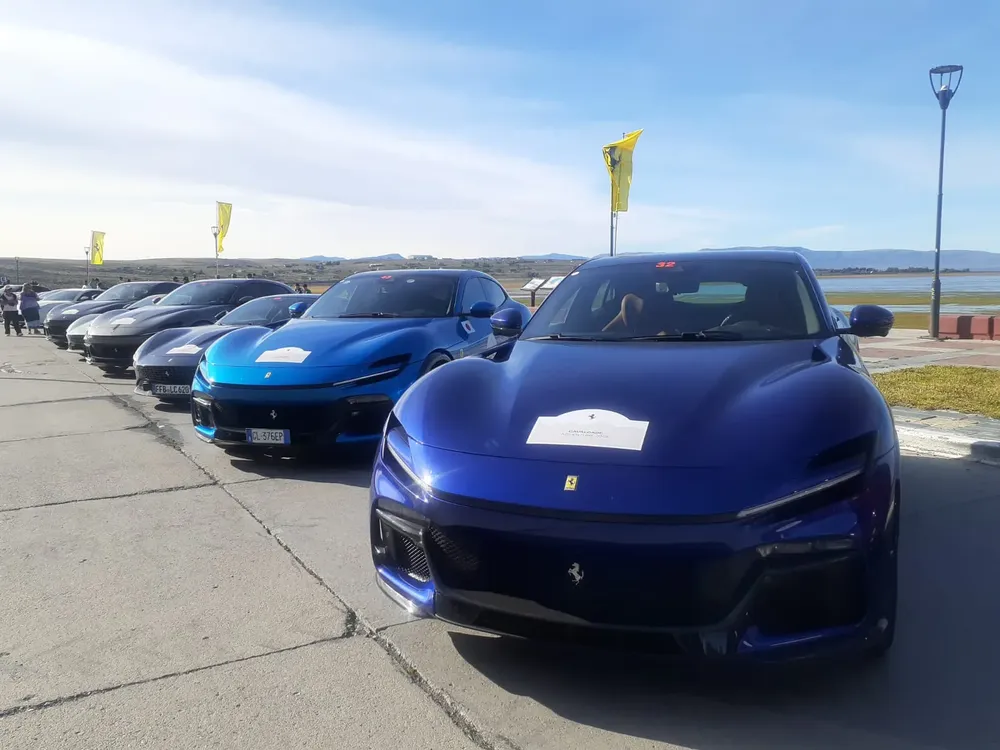 WhatsApp Image 2025-11-20 at 19.53.11