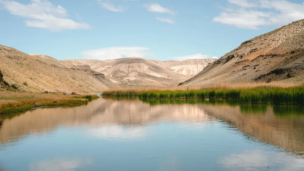 Campaña Tierra de Cañadones - Estación biológica El Unco -  Noviembre 2024 - @Hori_barbieri - Horacio Barbieri_-16~1