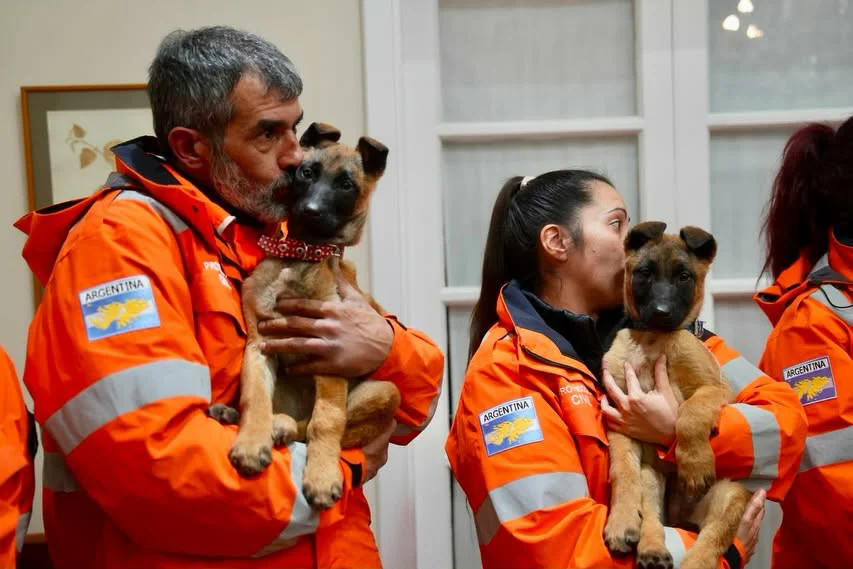 PERROS