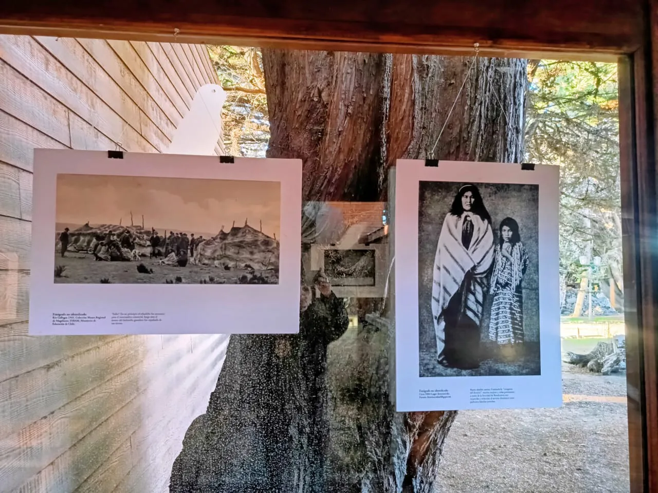 568898111_24779676821712840_3595418938980416382_n