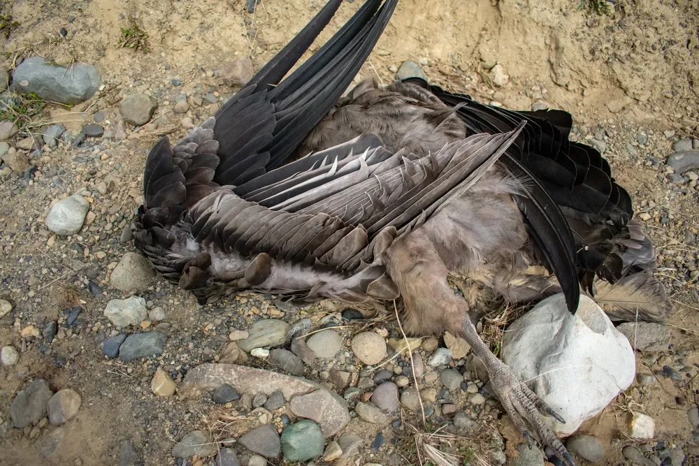 565308921_1242634894560806_4549134904603002103_n