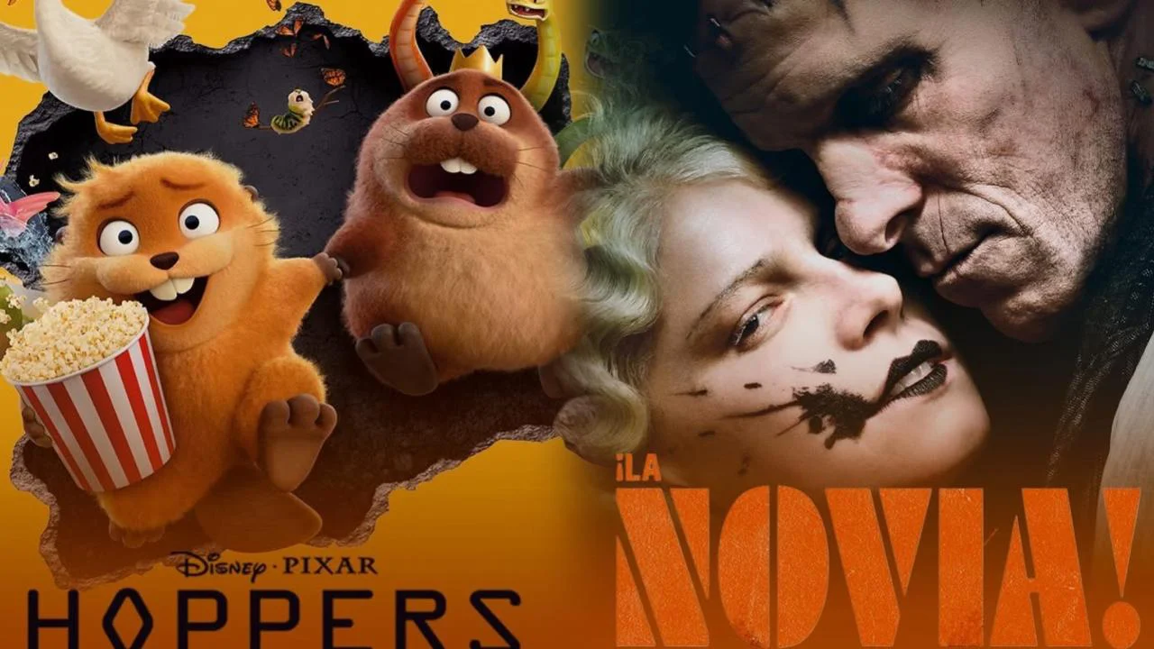 WhatsApp Image 2026-03-05 at 08.00.41