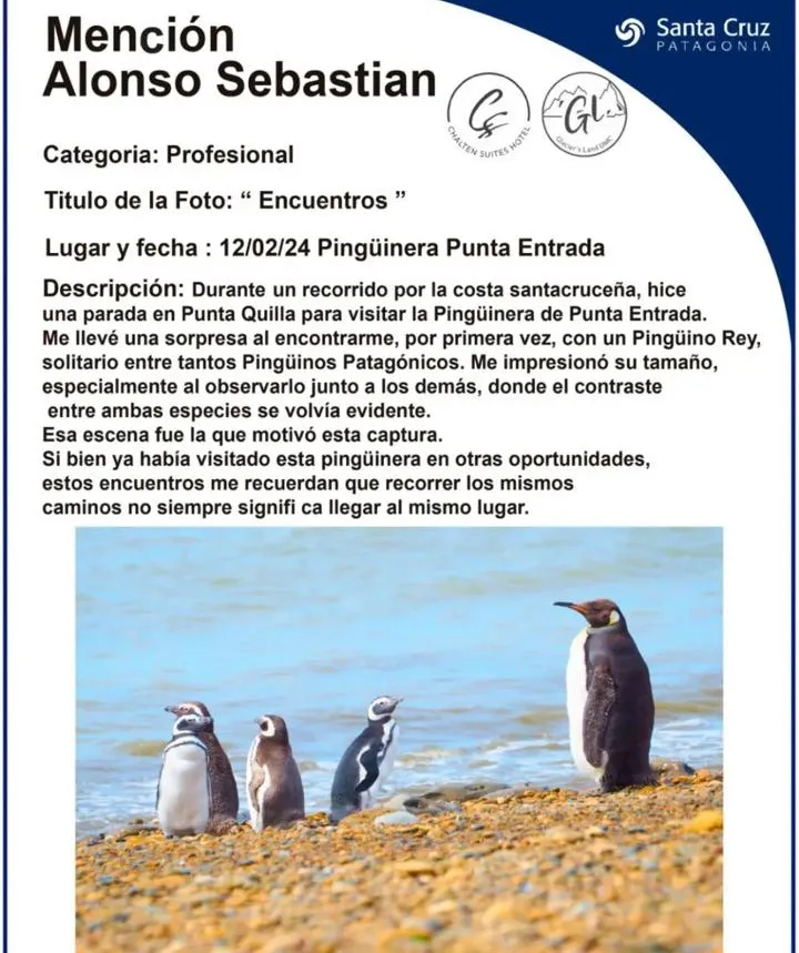 WhatsApp Image 2025-04-28 at 13.51.37(5)