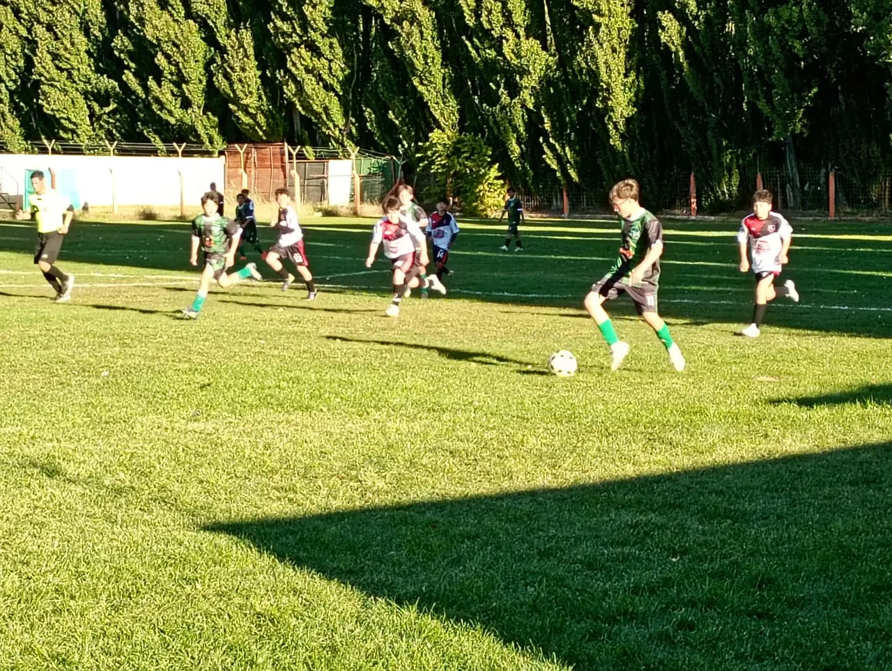 WhatsApp Image 2026-03-25 at 10.11.01 PM