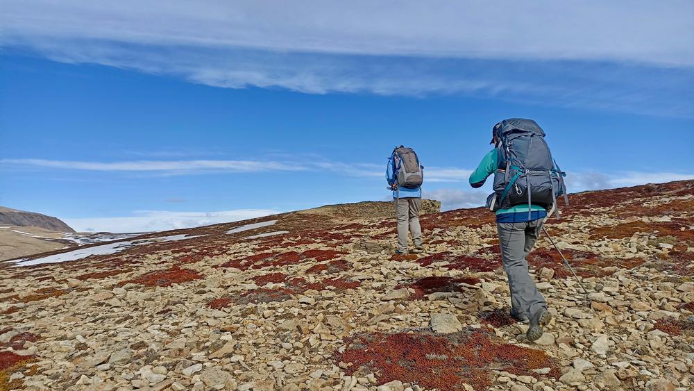 IMG_20211010_104657-3