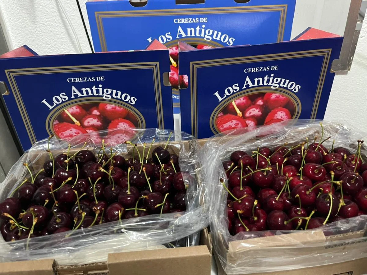 cereza Los Antiguos