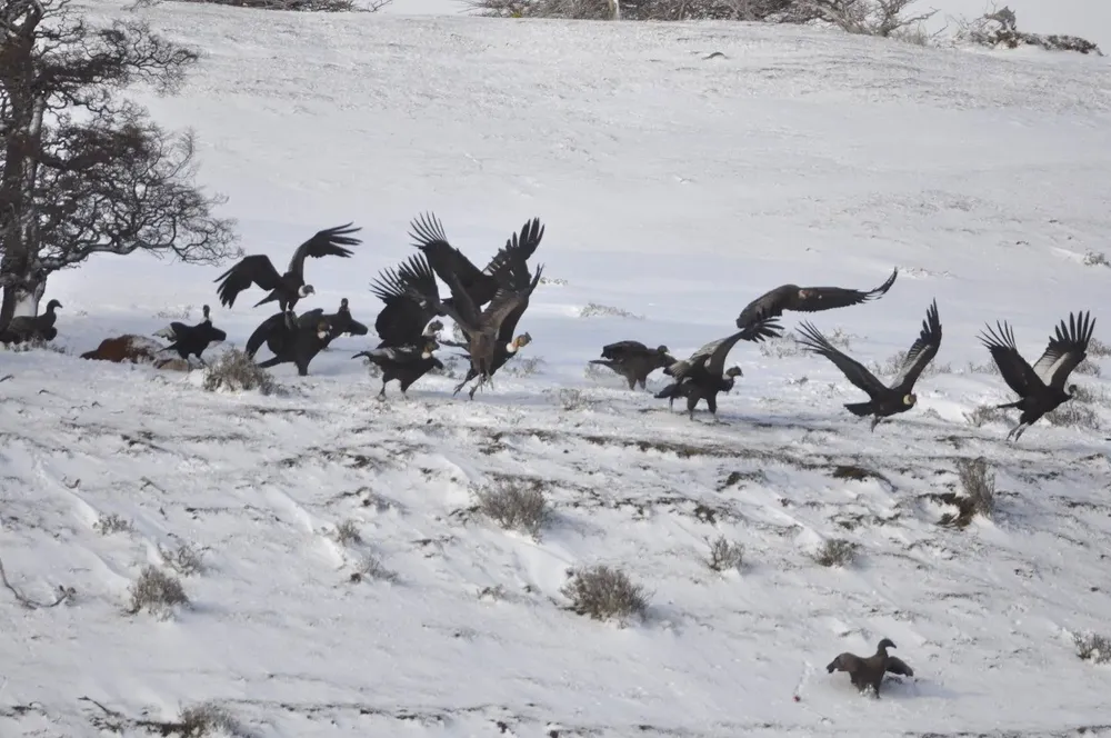 518035260_1154645720026391_1466016275361850893_n