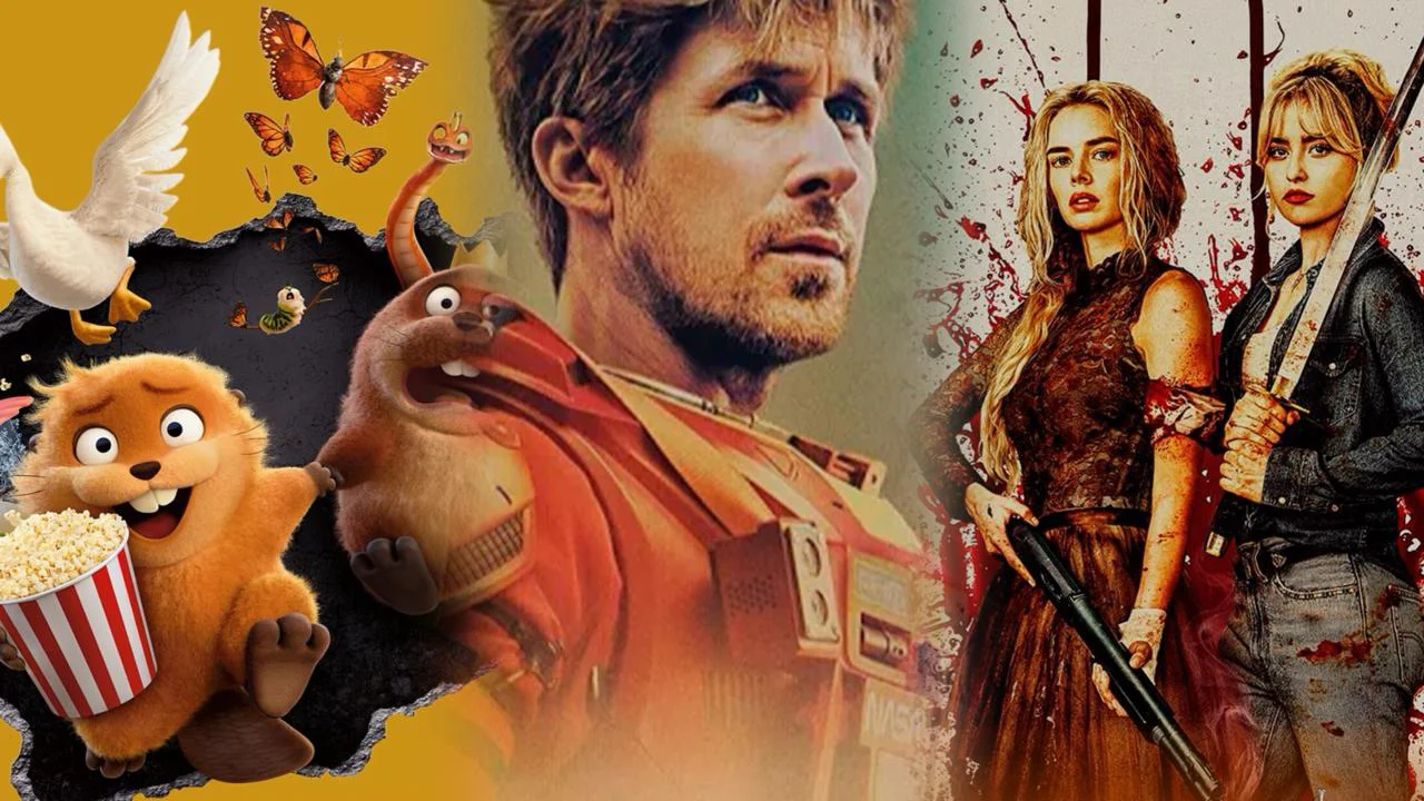 WhatsApp Image 2026-03-20 at 13.04.34