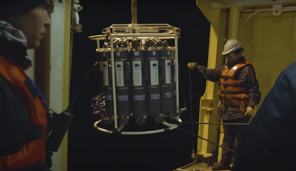 Captura de pantalla 2024-09-11 074100