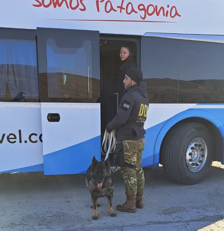 0D7C1BAF-AEF7-4DC6-96EA-9152A6AD5108