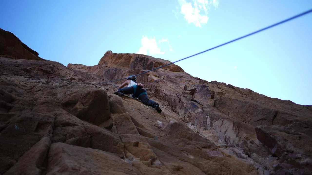 WhatsApp Image 2025-12-05 at 15.22.51