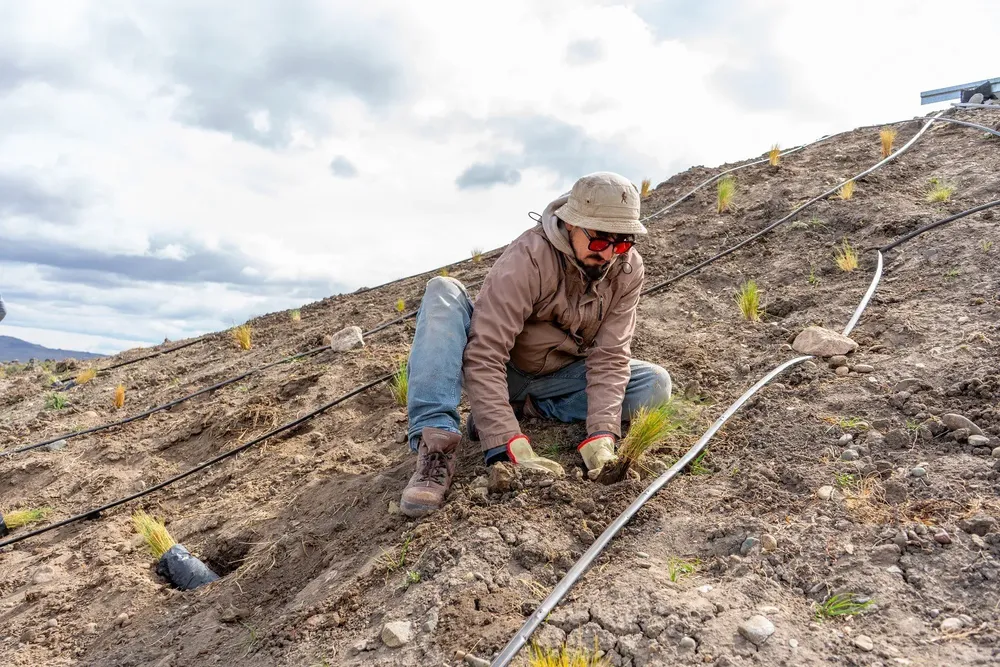 WhatsApp Image 2023-12-11 at 09.10.35