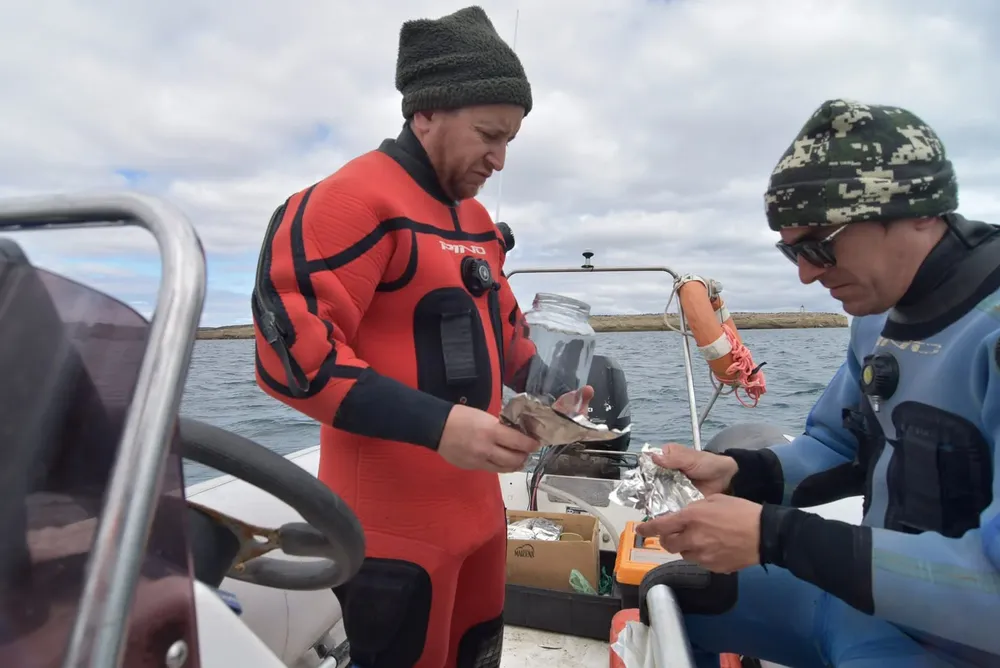 investigacion ballenas