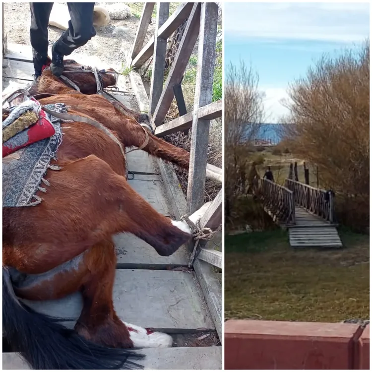 InShot_20231015_201540494