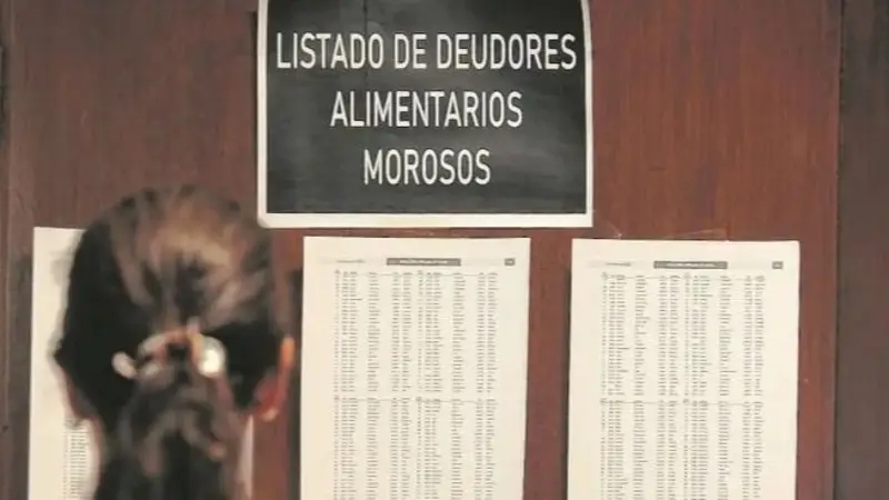 deudores alimentarios