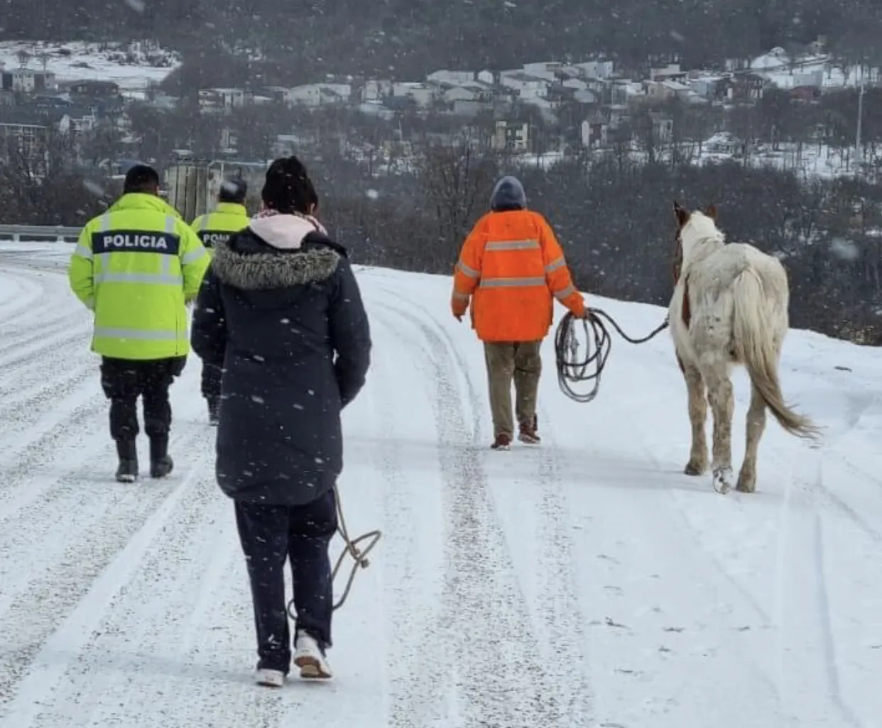 659B7C56-7D83-49D6-A5D5-2238FDC130D1